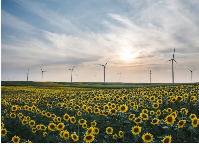 Energized field management