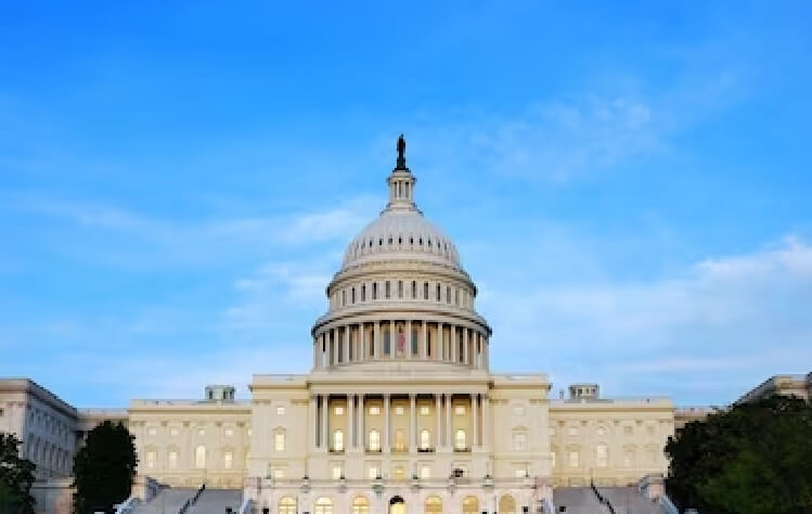 Central and federal government